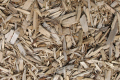 biomass boilers Muie